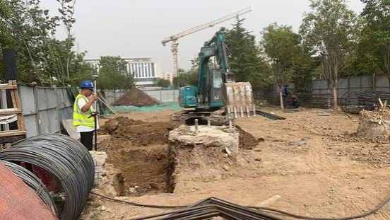 大象在树丛旁的空地上 AI 生成的内容可能不正确。