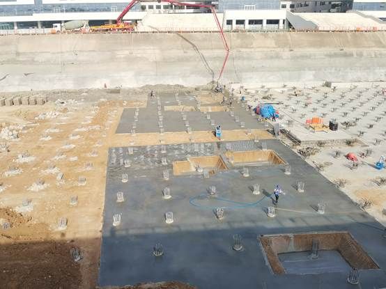 沙滩上有许多人 AI 生成的内容可能不正确。